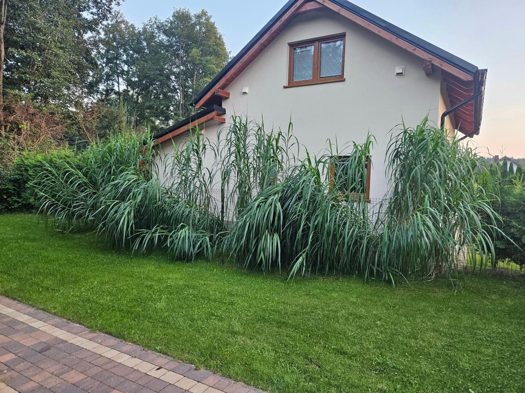Osada Cztery Pory Roku -Dom Lato Villa Kopalino Bagian luar foto
